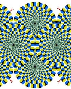 РАСПАД: Проклятые выбирать - 1