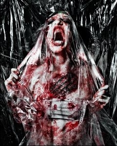 Второй украинский фронт