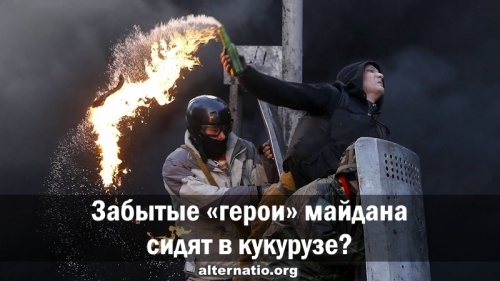 Забытые «герои» майдана сидят в кукурузе?