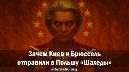 Зачем Киев и Брюссель отправили в Польшу «Шахеды»