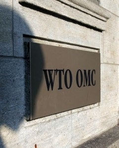 ВТО как театр абсурда