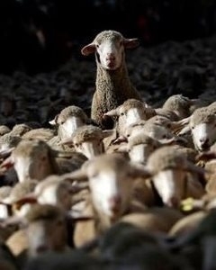 Антироссийский маразм ПАСЕ